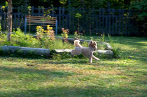 IMGP0217_20140924122816257.jpg