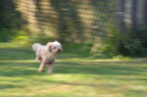 IMGP0223_20140924144723e7d.jpg