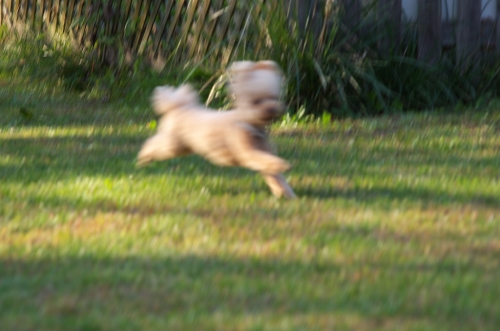 IMGP0224.jpg