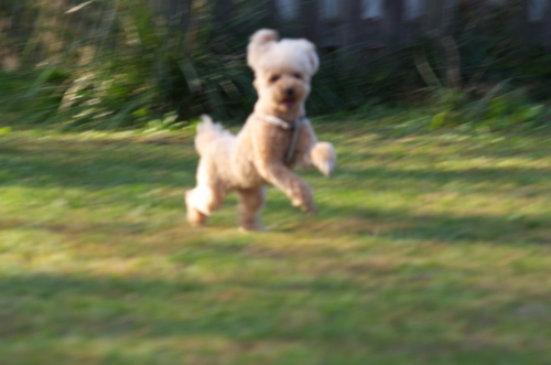 IMGP0225.jpg