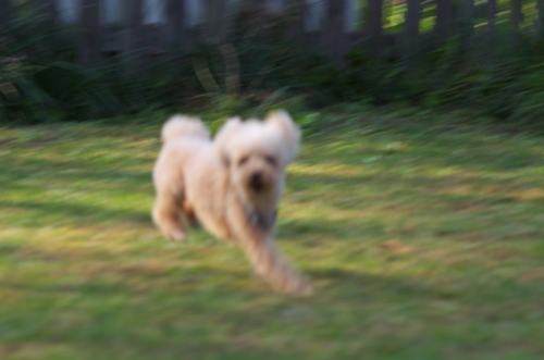 IMGP0226.jpg