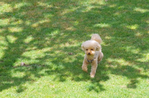 IMGP0251.jpg