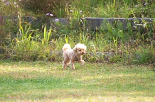 IMGP0259_20140924144816cd0.jpg