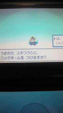 色ワラシ様