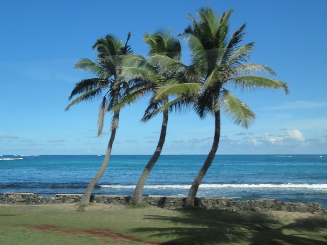 DSC00398.jpg