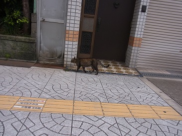 RIMG2524 - コピー