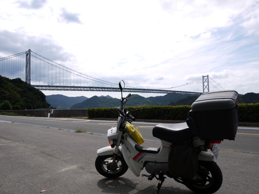 P1110433.jpg