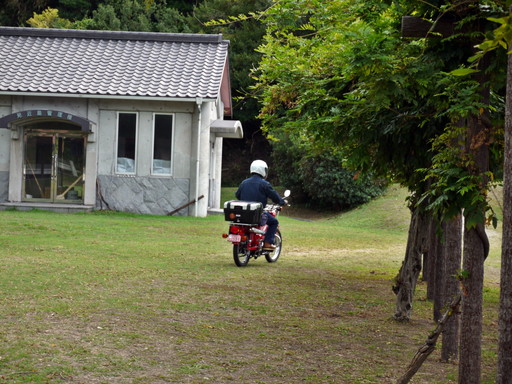 P1110438.jpg