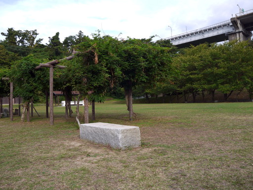 P1110442.jpg