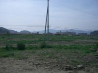 CIMG5172.jpg