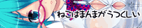 banner.gif
