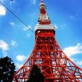 写真 1 (11)