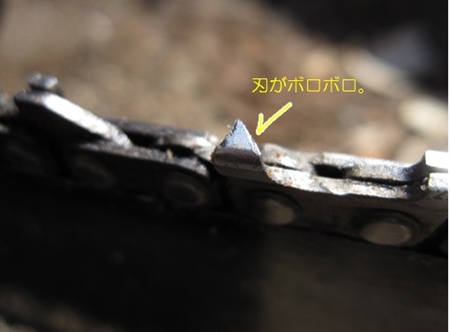 ⑫