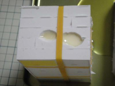 DSC01404.jpg