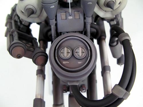 zf11.jpg