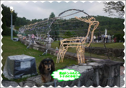 サマーイルミネーション①