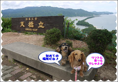 天の橋立②
