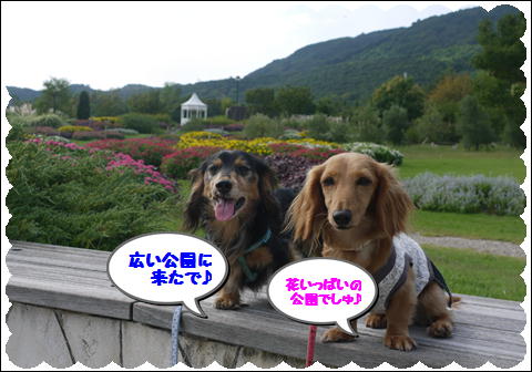 20119①