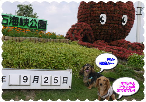 20119④
