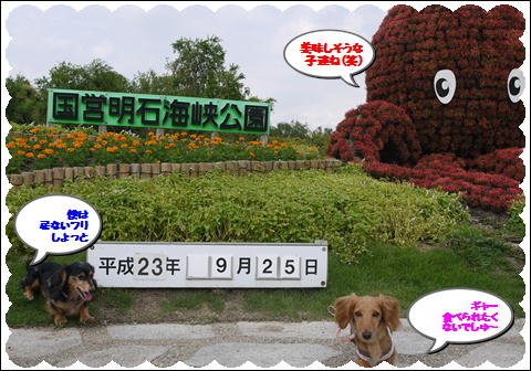 20119⑤