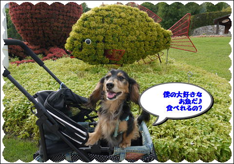 20119⑥