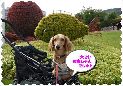20119⑦