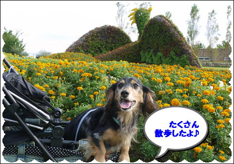 20119⑨