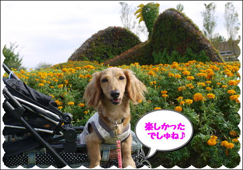 20119⑪