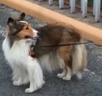 fc2blog_20141004204534d49.jpg