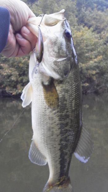 DCIM0099_convert_20111128115117.jpg