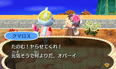 002_2013121020162843c.jpg