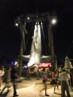 USJ