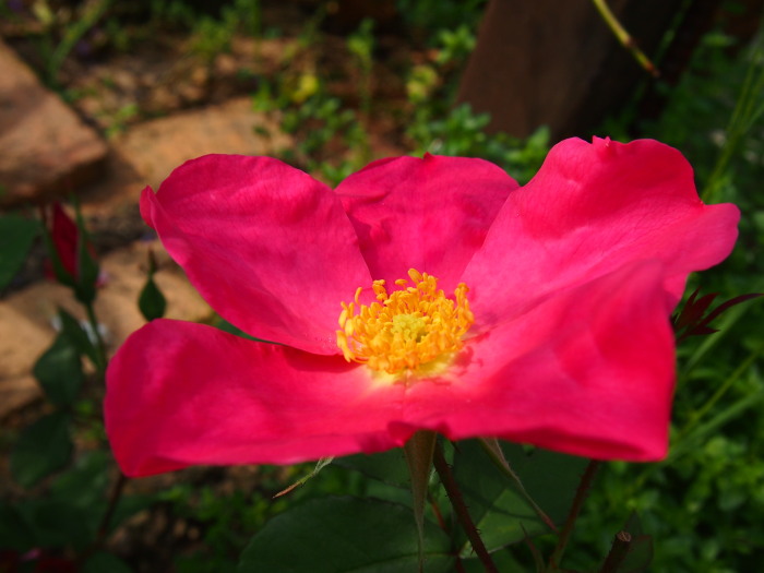 P7010997season.jpg