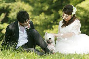 クララの犬生