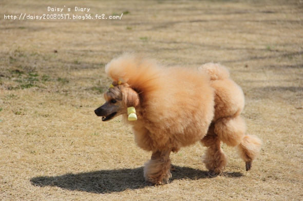 2012032701.jpg
