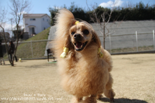 2012032702.jpg
