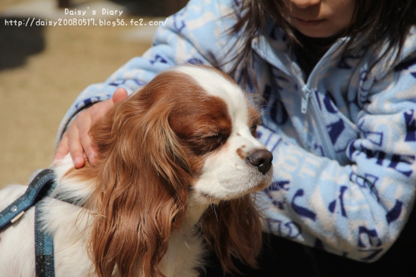 2012032703.jpg