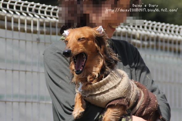 2012032704.jpg