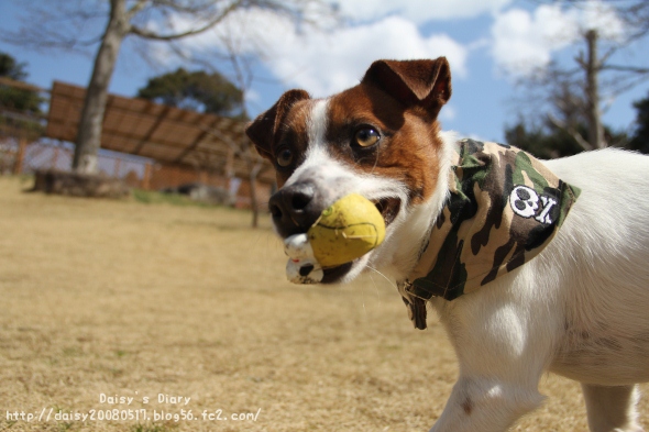 2012032705.jpg