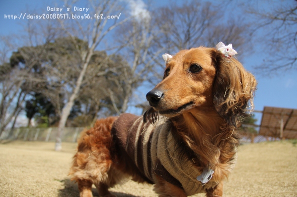 2012032706.jpg