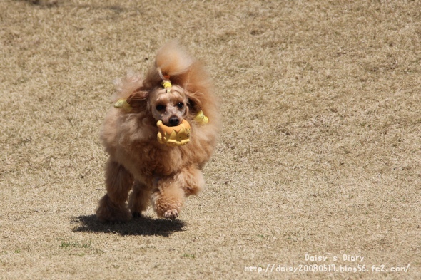 2012032707.jpg