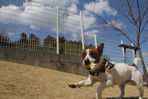 2012032708.jpg