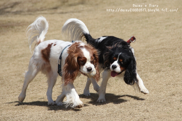 2012032709.jpg