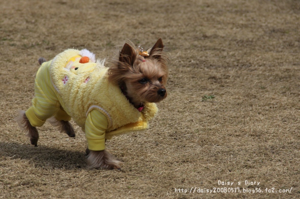 2012032710.jpg