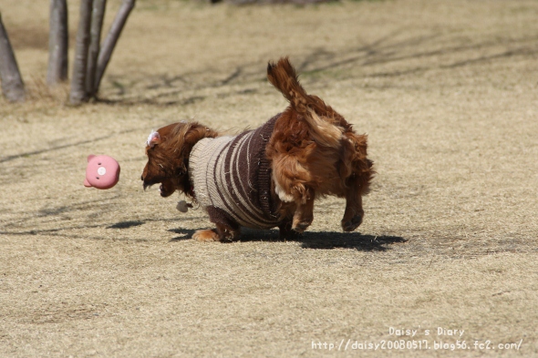2012032712.jpg