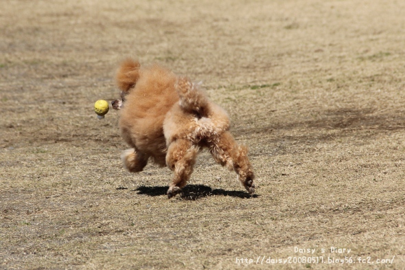2012032713.jpg