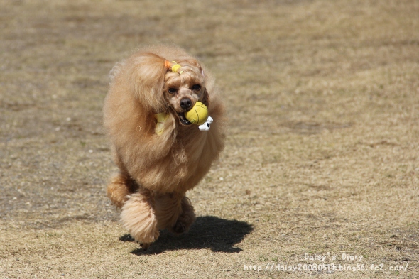2012032714.jpg