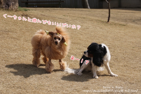 2012032801.jpg