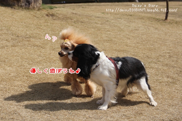2012032802.jpg