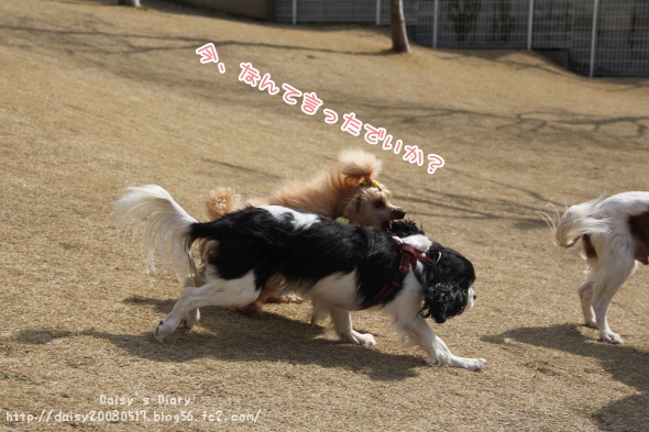 2012032803.jpg